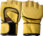 Grappling Gloves