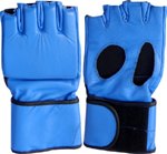 Grappling Gloves
