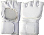 Grappling Gloves