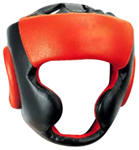 Head Guard