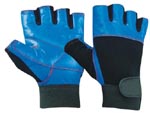 Weight Lifting Gloves